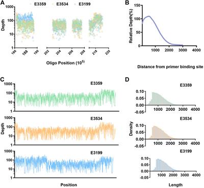 A method of large DNA fragment enrichment for nanopore sequencing in region 22q11.2